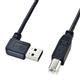 �T�����T�v���C ���ʑ}����L�^USB�P�[�u��(A-B�W���j KU-RL2